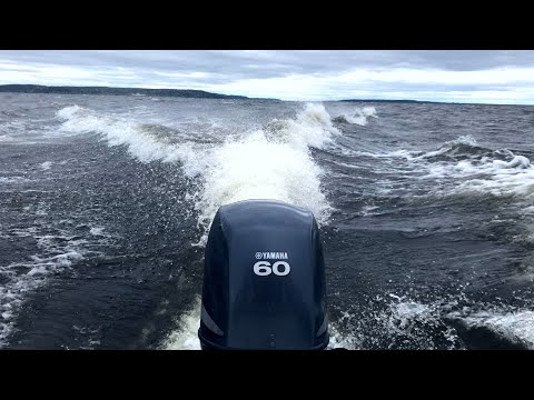 Видео: 1200 км, путешествие на катере по Волге или трое в лодке не считая собаки (Часть 2)