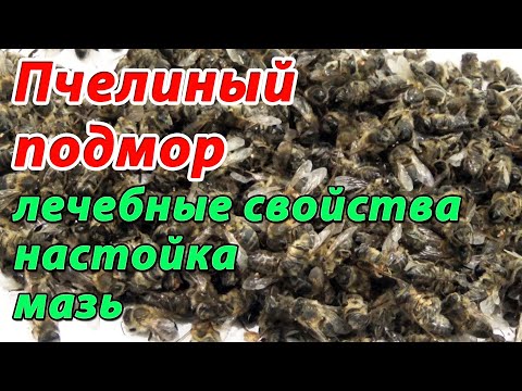 Видео: Пчелиный подмор. Настойка подмора. Мазь из подмора. Применение пчелиного подмора в народной медицине