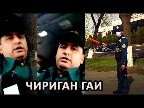 Видео: ОЁҒИ ЕРДАН УЗИЛГАН ВАЛЛОМАТ ГАИ