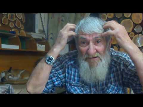 Видео: Мозговая мышиная возня старого дурака