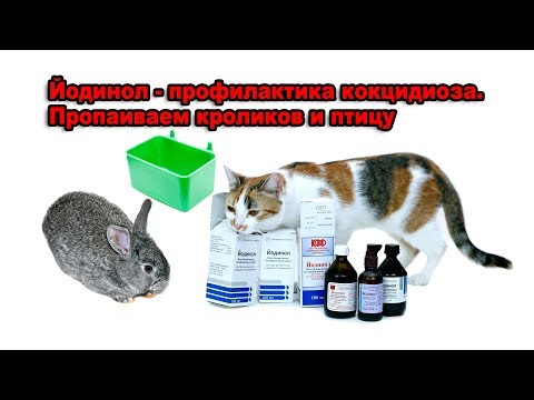 Видео: Почему Йодинол, почему не обычный Йод. Профилактика кокцидиоза.