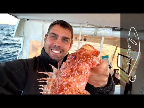 Видео: Донная рыбалка в поисках монстров!