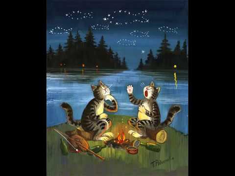 Видео: Жизнь котов... от Олли