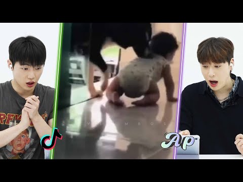 Видео: Почему эта собака укусила ребенка? ｜asopo