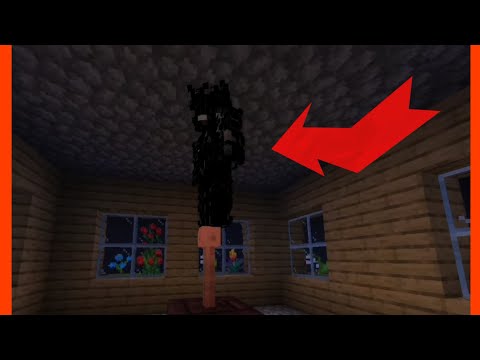 Видео: У моєму будинку жив таємний сусід, який тримав селянина в моєму будинку! Minecraft | Icksell