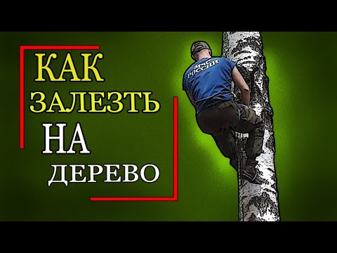 Видео: Как залезть на дерево. Схватывающий узел Прусика
