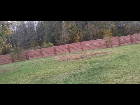 Видео: Первый день отдыха в лесу 13.10.25