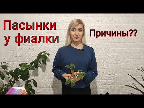 Видео: Фиалка. Пасынки у фиалки. Причины появления. Что делать с пасынками на фиалках?