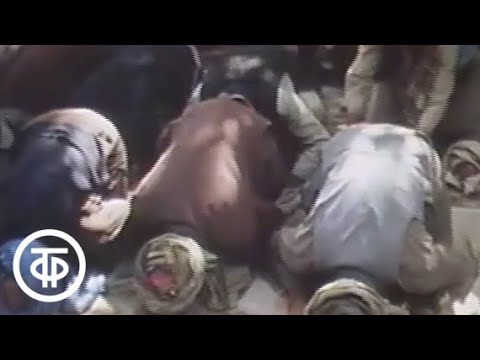 Видео: Афганистан. Путь к примирению (1987)