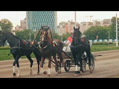 Видео: Тройка в экипаже В.Н. Минчева на Кубке Росипподромов'22