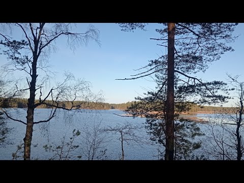 Видео: Лесное озеро. Всё замерзает но рыбачу.