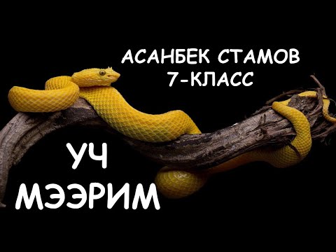 Видео: КЫРГЫЗ АДАБИЯТЫ I 7-КЛАСС I ТЕМА: АСАНБЕК СТАМОВ "ҮЧ МЭЭРИМ" I ВИДЕО САБАК I ИЛГИЗБЕК ШАМЫРЗАЕВ