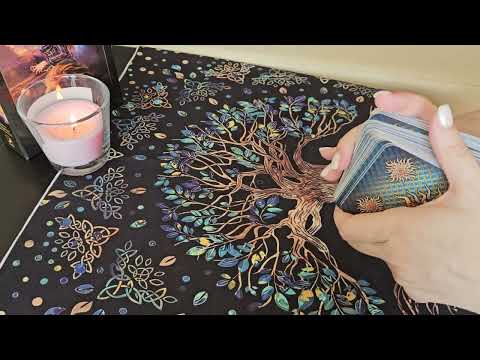 Видео: 🔎КАКВО СЕ СЛУЧВА В ЖИВОТА МУ СЕГА 💯