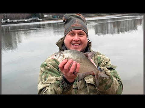 Видео: Братеево в январе 2025  Рыбалка на фидер на Москва реке Зимой