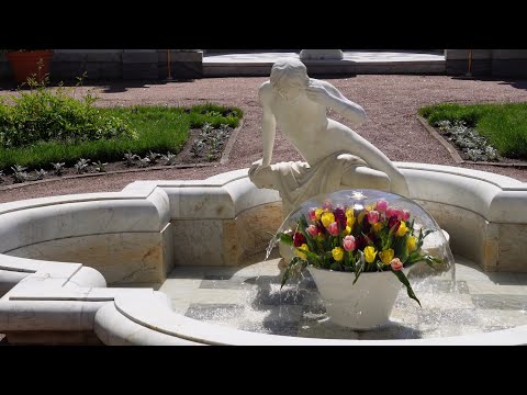 Видео: Петергоф, Ольгин пруд, острова 5 июня 2024 года