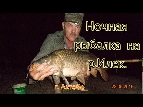 Видео: Два сомика, и карп на 5 5кг  Ночная рыбалка на р  Илек г  Актобе 2019г