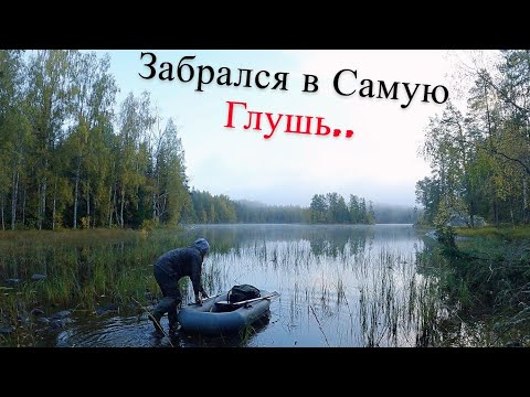 Видео: Забрёл со Спиннингом в Медвежий Угол UHD