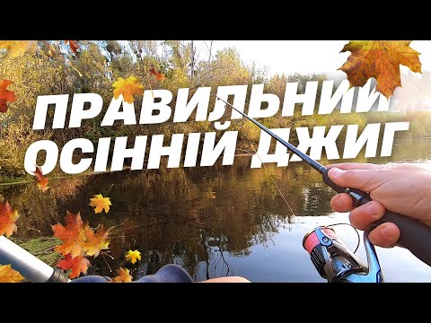 Видео: Правильний осінній джиг - як це?