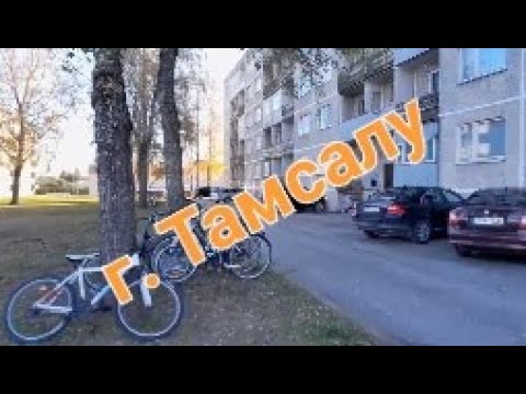 Видео: г. Тамсалу