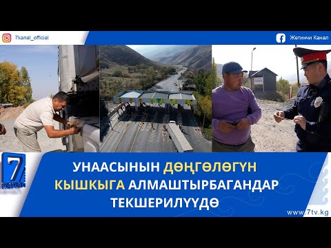 Видео: УНААСЫНЫН ДӨҢГӨЛӨГҮН КЫШКЫГА АЛМАШТЫРБАГАНДАР ТЕКШЕРИЛҮҮДӨ