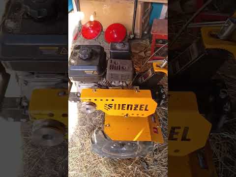 Видео: 4 мая 2024 г.