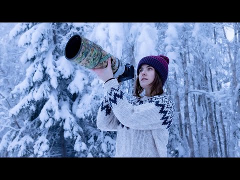 Видео: Фотосъемка охоты на белок и зимних проектов