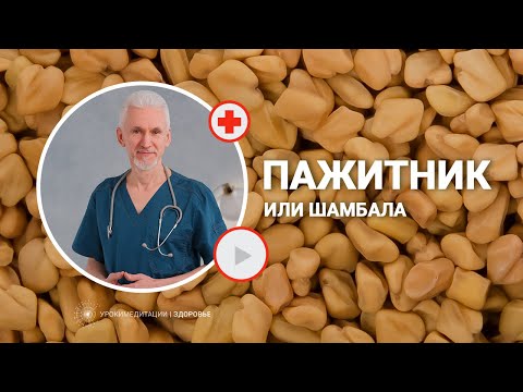 Видео: ПАЖИТНИК ИЛИ ШАМБАЛА: в чем сила мистической специи?