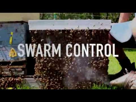 Видео: Управление роем
