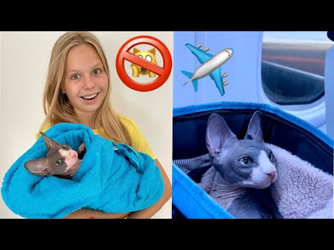 Видео: Кота Миллиона НЕ ПУСТИЛИ в САМОЛЁТ?  😱 Реальный полёт с Домашними Животными
