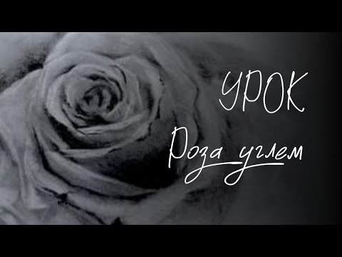 Видео: Роза углем