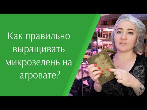 Видео: Как правильно выращивать #микрозелень на агровате? Выращиваем на агровате. Подготовка агроваты.