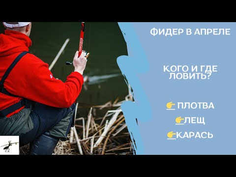 Видео: Рыбалка на фидер весной. Кого и где ловить в апреле? Плотва, лещ, карась