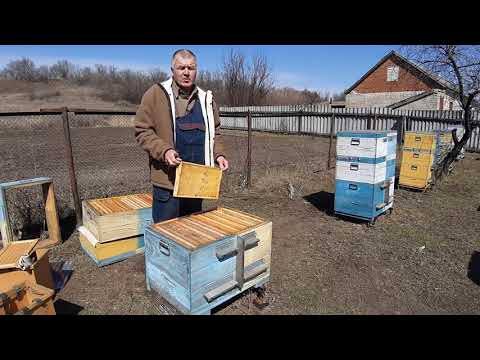 Видео: Двухматочное пчеловодство. Часть 2. Установка общего корпуса. + два ответа на вопросы подписчиков.