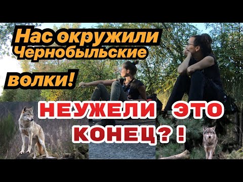 Видео: Часть 8. Убегаем от волков на пруду-охладителе ЧАЭС. Смотреть до конца! Поход в Припять2020.