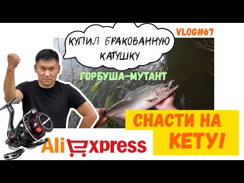 Видео: СНАСТИ НА КЕТУ | СХОДИЛИ В ПАРК | ГОРБУША-МУТАНТ | ШИМАНО С АЛИ