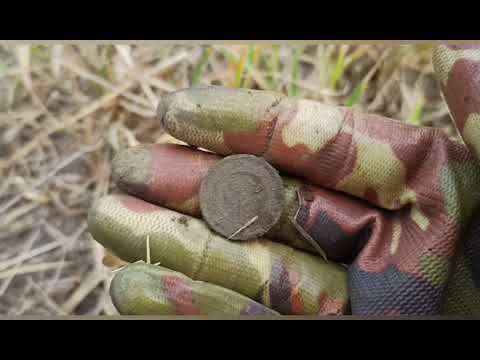 Видео: MD 4060 копаю возле Яготына. Ищу клад, под берёзой. Женский коп