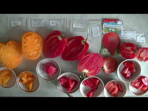 Видео: Дегустация помидоров 2025 № 33