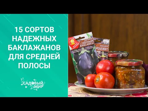 Видео: 15 сортов надежных баклажанов для средней полосы