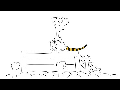 Видео: История великой женщины