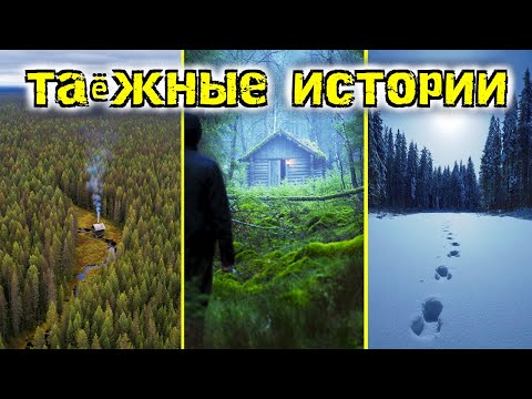Видео: Неизведанная Тайга: Правдивые истории из глухой тайги. Таёжные истории