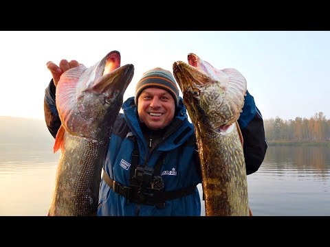 Видео: ЩУКА МОНСТР покусала Михалыча и рычала как собака! Рыбалка на осенних трофеев!