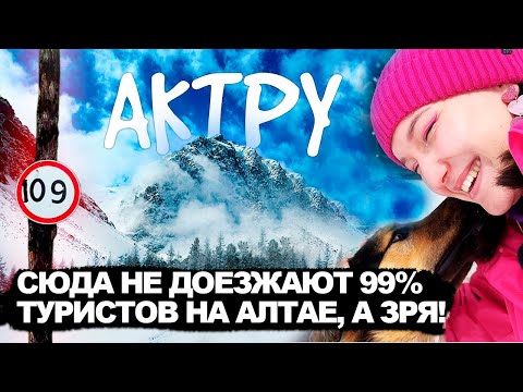 Видео: Ледники Горного Алтая / Алтай, о котором вам никто не расскажет / Альплагерь / Долина Актру 2024 год