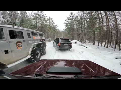 Видео: Шунут 28 января 2023