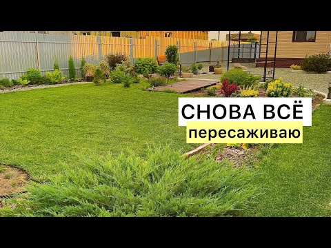 Видео: Избавляюсь от растений-агрессоров! Оформление новой зоны!