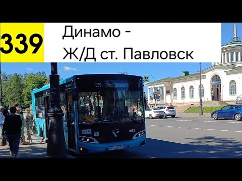 Видео: Автобус 339. Динамо - Ж/Д ст. Павловск