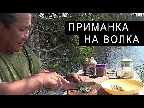 Видео: Изготовление ПАХУЧЕЙ ПРИМАНКИ на ВОЛКА.