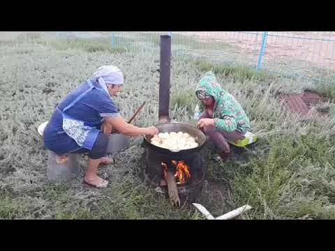 Видео: Орманшы ұрпақтарының алғашқы құрылтайы! 1 бөлім