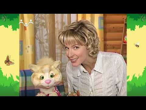 Видео: День в Шишкином Лесу. Лесные истории. Осенние заботы