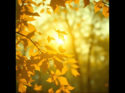 Видео: Tout ce vert de l’été passe -No deep sorrow, summer drifted away (FRA: VAR-2) ..просто уходило лето