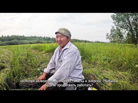 Видео: Рубрика "Счастливые люди на краю земли" мы покажем один день семью Худаевых